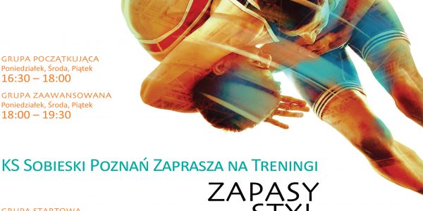 SobNew-2018_plakat-A3_v16-08-18_v1